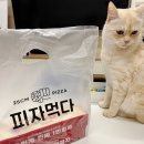 피자먹다 다사역점