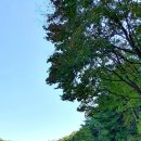 달건너농장 이미지