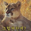 공주떡집 - 북구 | 공주떡집