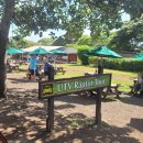 재일목장 | 하와이 쿠알로아랜치 UTV 랩터 투어