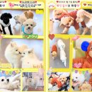 멜리애견유치원 이미지