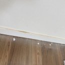 현대연예인아파트 이미지