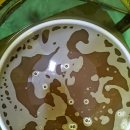 천년세탁 이미지