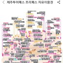 애월의언덕 민박 | 제주 투어패스 프래패스 자유이용권 후기1(11월여행)