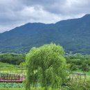 미사뚝방산책로 | 하남 둑방꽃길 &amp; 당정뜰 메타세쿼이아길 왕복 14km(미사대교에서 팔당대교까지)