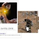 시슴