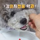 원천몰드 이미지