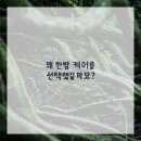 테마한의원 이미지