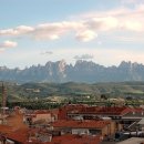 가우디농장 이미지