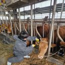 김해한우 이미지