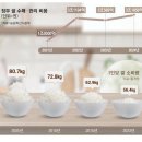 2024년 11월 28일 목요일 간추린 뉴스 이미지