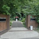천안 맛집) 파고다 포레스트 내돈내산 후기