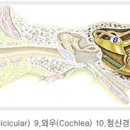 금강디지털보청기 이미지