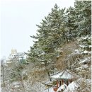 남간정사 | 2월 대전 가볼만한곳 설경 명소 우암사적공원 남간정사