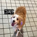 파파존스 송파구청점
