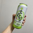 NR-6[종로]-하-347 | [*𝒅𝒂𝒊𝒍𝒚*] 여기 사람이 녹고 있어요.. 더위와 맞서 싸운 7월의 일상