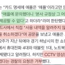 "애플 매장서 도난 카드로 1250만원 결제됐는데"…직장인 분통 이미지