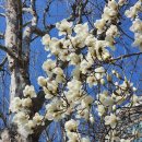 도봉운전면허시험장 앞 버스정류장 이미지