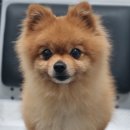 동림1리경로당 이미지