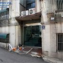 다우림 2차 이미지