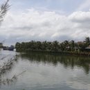 코이호텔 이미지