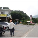모리의숲민박 Daum카페