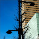 마스타카 이미지