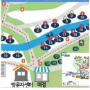 소나무캠핑 | [ 서울대공원 캠핑장 ] 피크닉존 예약 후기 도심속 캠핑 나들이 바베큐 계곡 숲 소나무 참나무