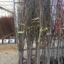 화성-장안-장안 8호 이미지