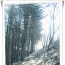 강촌유원지 이미지