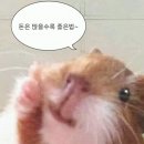 랩스프로 | 애플 맥북프로 M1 사용 후기 Ft.추가 꿀템