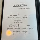 블라썸(Blossom)