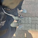 낭그늘 펜션 | 충남 보령 대천해수욕장 끝내주는 사골 수제비 맛집 #김가네사골수제비