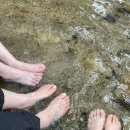 참새미골 이미지