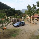 비발디파크렌탈샵리더스