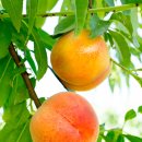 NH농협(울산성남점) 이미지