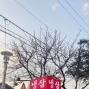 냉삼싸롱