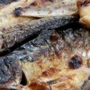 연포생선구이 이미지