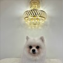 아르펫살롱 이미지