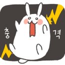 장위동유성집신제주점 이미지