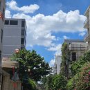 베트남식당(MINH SON QUAN) | 베트남 호치민 1군 식당 및 카페 리스트 마지막 정리...아파트먼트, 현지인 카페(the coconut) 솔직후기