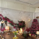 카페코지 | 산본역버터떡 산본카페 코지맨션 내돈내산 후기