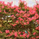 희망분수 이미지