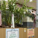 못난이아구찜 | [목포 아구찜] 비리지 않고 깔끔한 양념이 맛있는 아귀찜 맛집 못난이아구찜