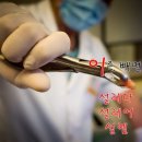 설레이다 이미지