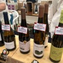 힐 스프링 | 워커힐 호텔 와인페어 스프링브리즈 내돈내산 솔직 후기