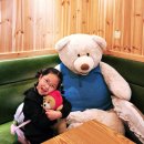 화천방앗간 | 화천읍 두바이 와플 에 반하다! 와플맛집, 카페 '포레스트' 화천 디저트카페 추천!