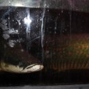 워터월드코리아 이미지