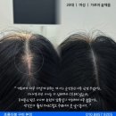 프롬더봄
