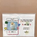 하운드펫 | 부산 하운드호텔 부산역 펫룸 예약·후기 총정리 /부산역 근처 반려견 동반 호텔 추천